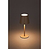 Starlux Paola Akku-Tischleuchte Paola Mini (3 Stk., 1,6 W, L x B x H: 8,6 x 8,6 x 27 cm, Warmweiß, Sand) | BAUHAUS