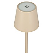 Starlux Paola Accu-tafellamp Paola Mini (3 st., 1,6 W, l x b x h: 8,6 x 8,6 x 27 cm, Zand, Warm wit) | BAUHAUS