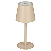 Starlux Paola Akumulatorska namizna svetilka Paola Mini  (3 kos, 1,6 W, Do x Š x V: 8,6 x 8,6 x 27 cm, Toplo bela, Bež) | 3111 - Akkuleuchte dekorativ | CAJB - Outdoorleuchten Akku | CAJ - Outdoorleuchten | CA - Beleuchtung | C - Elektro | BAUHAUS