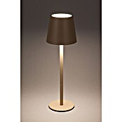 Starlux Paola Accu-tafellamp Paola Mini (3 st., 1,6 W, l x b x h: 8,6 x 8,6 x 27 cm, Zand, Warm wit) | BAUHAUS