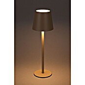 Starlux Paola Akku-Tischleuchte Paola Mini (3 Stk., 1,6 W, L x B x H: 8,6 x 8,6 x 27 cm, Warmweiß, Sand) | BAUHAUS