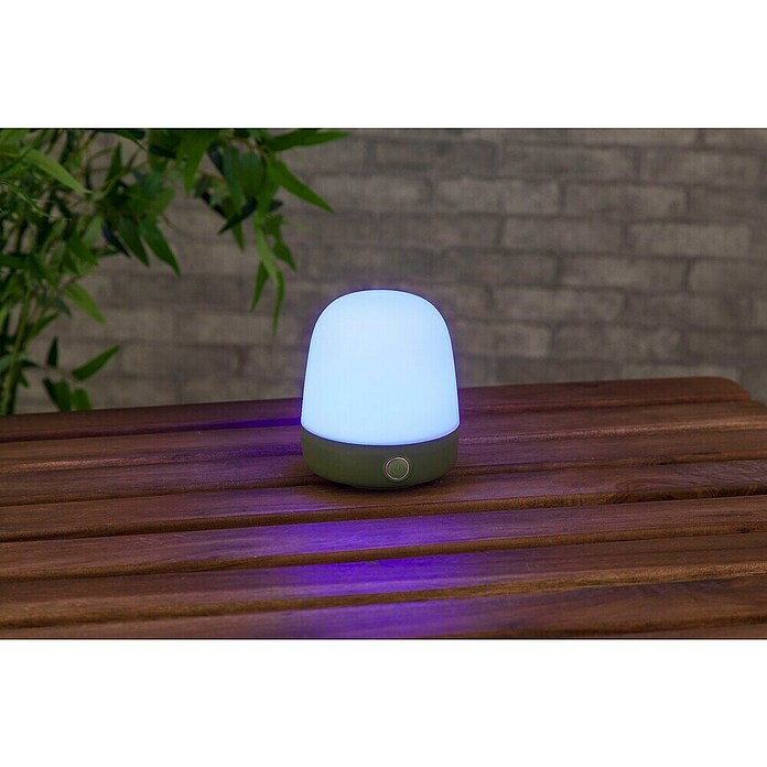 Starlux LED-Tischleuchte Mini (0,3 W, L x B x H: 10 x 10 x 12 cm, Matcha Green, RGBW) | BAUHAUS