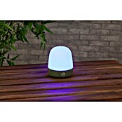 Starlux LED-Tischleuchte Mini (0,3 W, L x B x H: 10 x 10 x 12 cm, Matcha Green, RGBW) | BAUHAUS