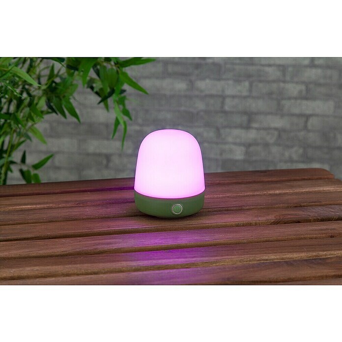 Starlux LED-Tischleuchte Mini (0,3 W, L x B x H: 10 x 10 x 12 cm, Matcha Green, RGBW) | BAUHAUS