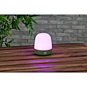 Starlux LED-Tischleuchte Mini (0,3 W, L x B x H: 10 x 10 x 12 cm, Matcha Green, RGBW) | BAUHAUS