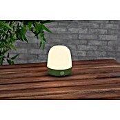 Starlux LED-Tischleuchte Mini (0,3 W, L x B x H: 10 x 10 x 12 cm, Matcha Green, RGBW) | BAUHAUS