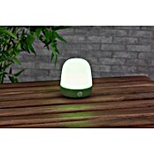 Starlux LED-Tischleuchte Mini (0,3 W, L x B x H: 10 x 10 x 12 cm, Matcha Green, RGBW) | BAUHAUS