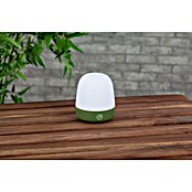 Starlux LED-Tischleuchte Mini (0,3 W, L x B x H: 10 x 10 x 12 cm, Matcha Green, RGBW) | BAUHAUS