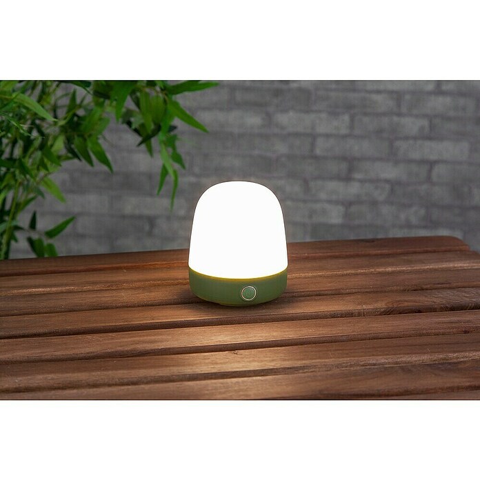 Starlux LED-Tischleuchte Mini (0,3 W, L x B x H: 10 x 10 x 12 cm, Matcha Green, RGBW) | BAUHAUS