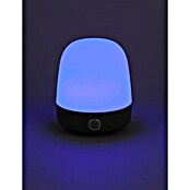 Starlux LED-Tischleuchte Mini (0,3 W, L x B x H: 10 x 10 x 12 cm, Matcha Green, RGBW) | BAUHAUS