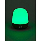 Starlux LED-Tischleuchte Mini (0,3 W, L x B x H: 10 x 10 x 12 cm, Matcha Green, RGBW) | BAUHAUS