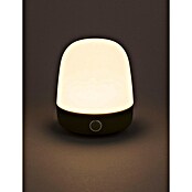 Starlux LED-Tischleuchte Mini (0,3 W, L x B x H: 10 x 10 x 12 cm, Matcha Green, RGBW) | BAUHAUS