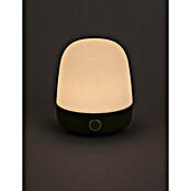 Starlux LED-Tischleuchte Mini (0,3 W, L x B x H: 10 x 10 x 12 cm, Matcha Green, RGBW) | BAUHAUS