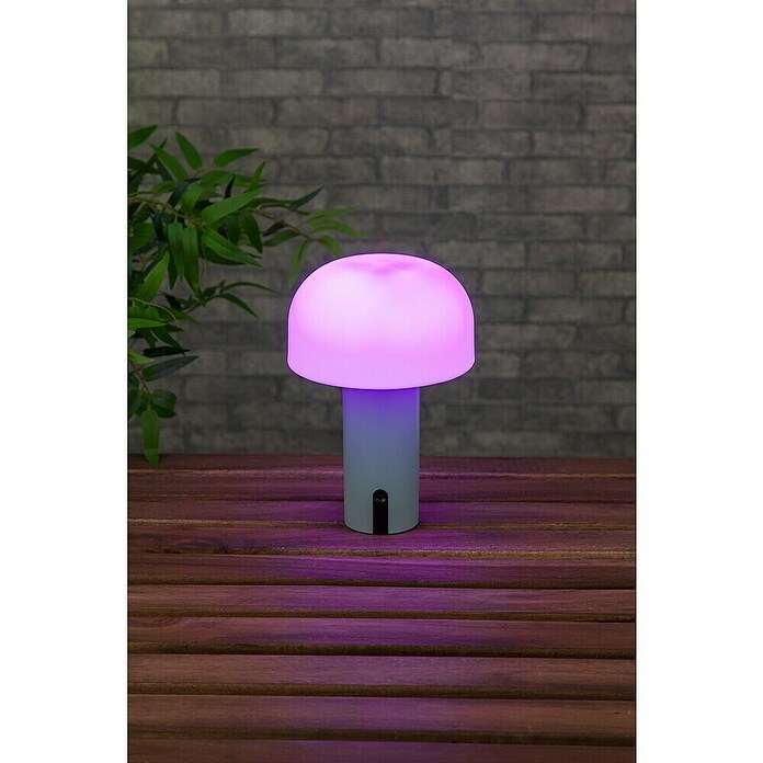 Starlux Akumulatorska namizna svetilka Pisa  (1 W, Do x Š x V: 22 x 15 x 15 cm, RGBW, Zelena) | 3111 - Akkuleuchte dekorativ | CAJB - Outdoorleuchten Akku | CAJ - Outdoorleuchten | CA - Beleuchtung | C - Elektro | BAUHAUS