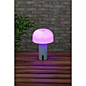 Starlux Akumulatorska namizna svetilka Pisa  (1 W, Do x Š x V: 22 x 15 x 15 cm, RGBW, Zelena) | 3111 - Akkuleuchte dekorativ | CAJB - Outdoorleuchten Akku | CAJ - Outdoorleuchten | CA - Beleuchtung | C - Elektro | BAUHAUS