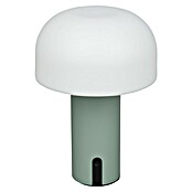 Starlux Akumulatorska namizna svetilka Pisa  (1 W, Do x Š x V: 22 x 15 x 15 cm, RGBW, Zelena) | 3111 - Akkuleuchte dekorativ | CAJB - Outdoorleuchten Akku | CAJ - Outdoorleuchten | CA - Beleuchtung | C - Elektro | BAUHAUS