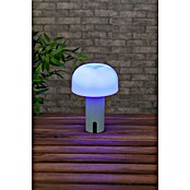 Starlux Akumulatorska namizna svetilka Pisa  (1 W, Do x Š x V: 22 x 15 x 15 cm, RGBW, Zelena) | 3111 - Akkuleuchte dekorativ | CAJB - Outdoorleuchten Akku | CAJ - Outdoorleuchten | CA - Beleuchtung | C - Elektro | BAUHAUS