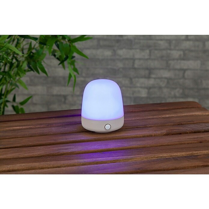 Starlux LED-Tischleuchte Mini (0,3 W, L x B x H: 10 x 10 x 12 cm, Off White, RGBW) | BAUHAUS
