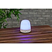 Starlux LED-Tischleuchte Mini (0,3 W, L x B x H: 10 x 10 x 12 cm, Off White, RGBW) | BAUHAUS