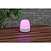 Starlux LED-Tischleuchte Mini (0,3 W, L x B x H: 10 x 10 x 12 cm, Off White, RGBW) | BAUHAUS
