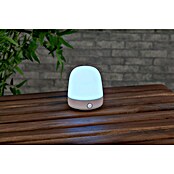 Starlux LED-Tischleuchte Mini (0,3 W, L x B x H: 10 x 10 x 12 cm, Off White, RGBW) | BAUHAUS