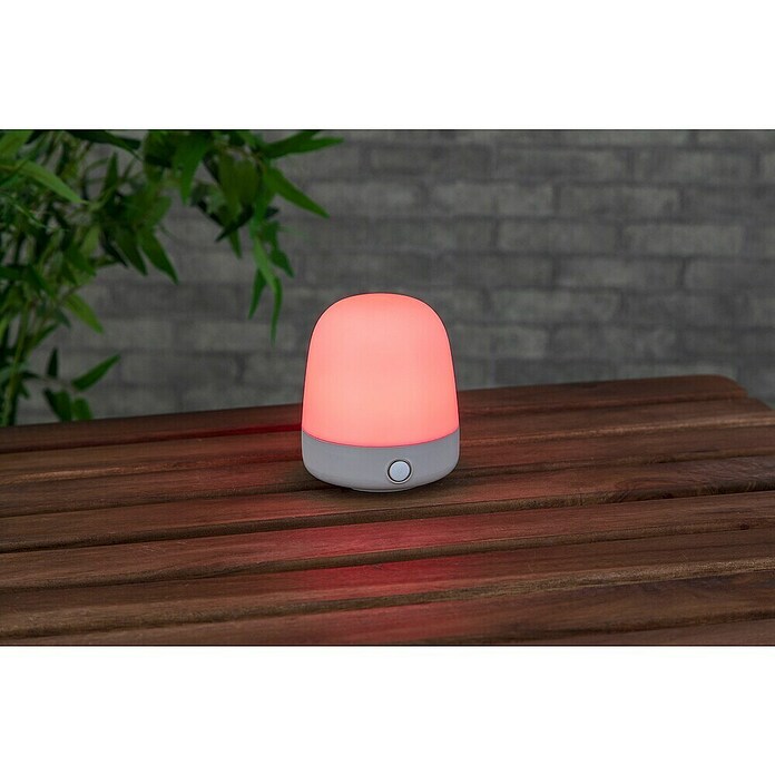 Starlux LED-Tischleuchte Mini (0,3 W, L x B x H: 10 x 10 x 12 cm, Off White, RGBW) | BAUHAUS