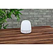 Starlux LED-Tischleuchte Mini (0,3 W, L x B x H: 10 x 10 x 12 cm, Off White, RGBW) | BAUHAUS