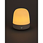 Starlux LED-Tischleuchte Mini (0,3 W, L x B x H: 10 x 10 x 12 cm, Off White, RGBW) | BAUHAUS