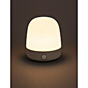 Starlux LED-Tischleuchte Mini (0,3 W, L x B x H: 10 x 10 x 12 cm, Off White, RGBW) | BAUHAUS