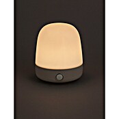 Starlux LED-Tischleuchte Mini (0,3 W, L x B x H: 10 x 10 x 12 cm, Off White, RGBW) | BAUHAUS