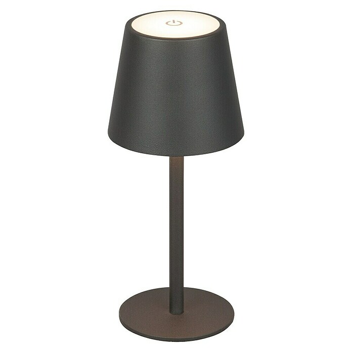 Starlux Akumulatorska namizna svetilka Paola Mini  (3 kos, 1,6 W, Do x Š x V: 8,6 x 8,6 x 27 cm, Črna, Topla bela) | 3111 - Akkuleuchte dekorativ | CAJB - Outdoorleuchten Akku | CAJ - Outdoorleuchten | CA - Beleuchtung | C - Elektro | BAUHAUS