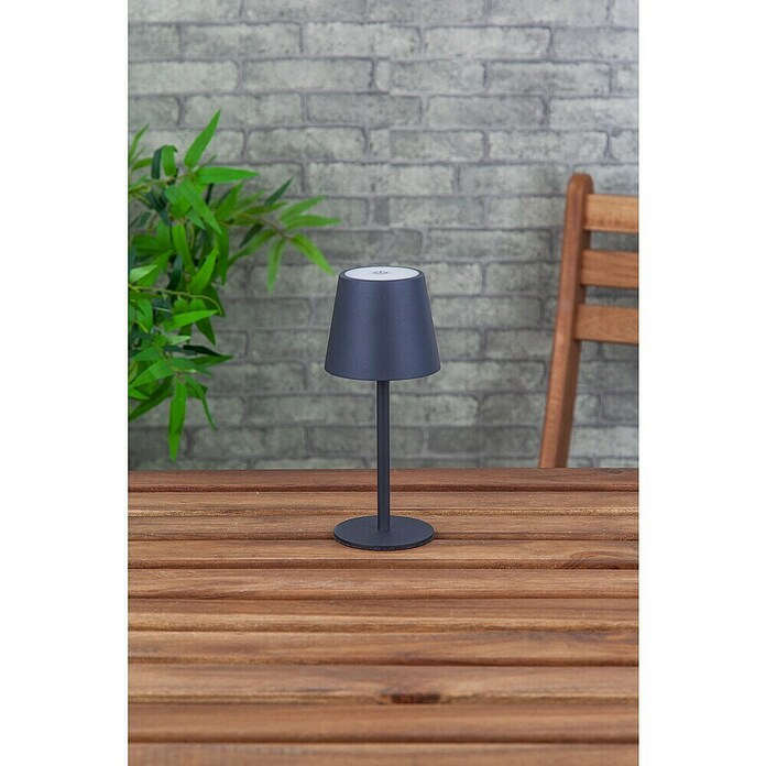 Starlux Paola Accu-tafellamp Paola Mini (3 st., 1,6 W, l x b x h: 8,6 x 8,6 x 27 cm, Zwart, Warm wit) | BAUHAUS