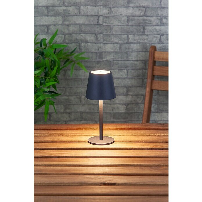 Starlux Akumulatorska namizna svetilka Paola Mini  (3 kos, 1,6 W, Do x Š x V: 8,6 x 8,6 x 27 cm, Črna, Topla bela) | 3111 - Akkuleuchte dekorativ | CAJB - Outdoorleuchten Akku | CAJ - Outdoorleuchten | CA - Beleuchtung | C - Elektro | BAUHAUS