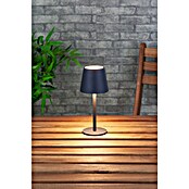 Starlux Akumulatorska namizna svetilka Paola Mini  (3 kos, 1,6 W, Do x Š x V: 8,6 x 8,6 x 27 cm, Črna, Topla bela) | 3111 - Akkuleuchte dekorativ | CAJB - Outdoorleuchten Akku | CAJ - Outdoorleuchten | CA - Beleuchtung | C - Elektro | BAUHAUS