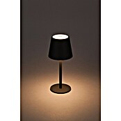Starlux Paola Akku-Tischleuchte Paola Mini (3 Stk., 1,6 W, L x B x H: 8,6 x 8,6 x 27 cm, Warmweiß, Schwarz) | BAUHAUS