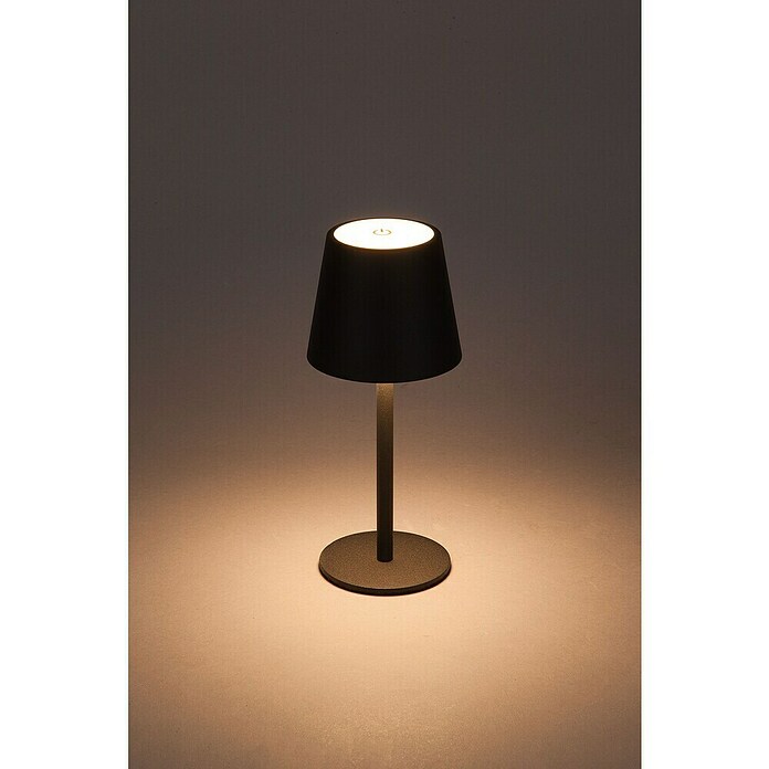 Starlux Akumulatorska namizna svetilka Paola Mini  (3 kos, 1,6 W, Do x Š x V: 8,6 x 8,6 x 27 cm, Črna, Topla bela) | 3111 - Akkuleuchte dekorativ | CAJB - Outdoorleuchten Akku | CAJ - Outdoorleuchten | CA - Beleuchtung | C - Elektro | BAUHAUS