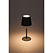 Starlux Akumulatorska namizna svetilka Paola Mini  (3 kos, 1,6 W, Do x Š x V: 8,6 x 8,6 x 27 cm, Črna, Topla bela) | 3111 - Akkuleuchte dekorativ | CAJB - Outdoorleuchten Akku | CAJ - Outdoorleuchten | CA - Beleuchtung | C - Elektro | BAUHAUS