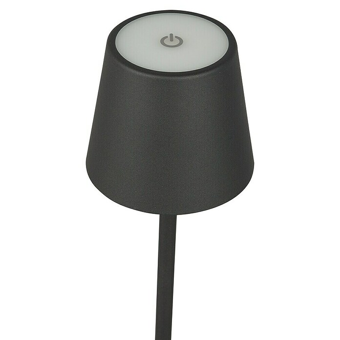 Starlux Akumulatorska namizna svetilka Paola Mini  (3 kos, 1,6 W, Do x Š x V: 8,6 x 8,6 x 27 cm, Črna, Topla bela) | 3111 - Akkuleuchte dekorativ | CAJB - Outdoorleuchten Akku | CAJ - Outdoorleuchten | CA - Beleuchtung | C - Elektro | BAUHAUS