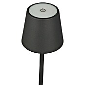 Starlux Akumulatorska namizna svetilka Paola Mini  (3 kos, 1,6 W, Do x Š x V: 8,6 x 8,6 x 27 cm, Črna, Topla bela) | 3111 - Akkuleuchte dekorativ | CAJB - Outdoorleuchten Akku | CAJ - Outdoorleuchten | CA - Beleuchtung | C - Elektro | BAUHAUS
