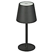 Starlux Akumulatorska namizna svetilka Paola Mini  (3 kos, 1,6 W, Do x Š x V: 8,6 x 8,6 x 27 cm, Črna, Topla bela) | 3111 - Akkuleuchte dekorativ | CAJB - Outdoorleuchten Akku | CAJ - Outdoorleuchten | CA - Beleuchtung | C - Elektro | BAUHAUS
