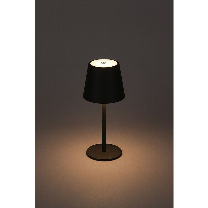 Starlux Akumulatorska namizna svetilka Paola Mini  (3 kos, 1,6 W, Do x Š x V: 8,6 x 8,6 x 27 cm, Črna, Topla bela) | 3111 - Akkuleuchte dekorativ | CAJB - Outdoorleuchten Akku | CAJ - Outdoorleuchten | CA - Beleuchtung | C - Elektro | BAUHAUS