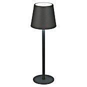 Starlux Paola Accu-tafellamp Paola Mini (3 st., 1,6 W, l x b x h: 8,6 x 8,6 x 27 cm, Zwart, Warm wit) | BAUHAUS