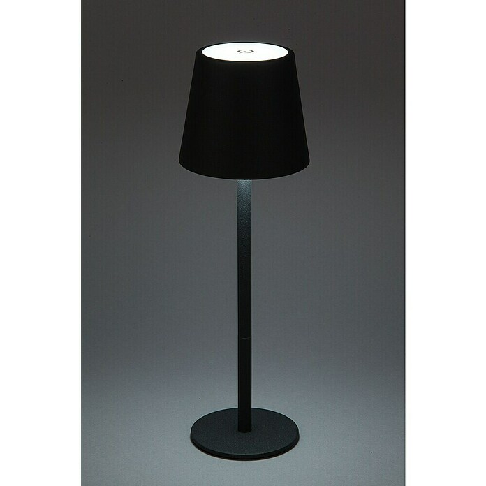 Starlux Paola Akumulatorska namizna svetilka Paola Mini  (3 kos, 1,6 W, Do x Š x V: 8,6 x 8,6 x 27 cm, Toplo bela, Črne barve) | 3111 - Akkuleuchte dekorativ | CAJB - Outdoorleuchten Akku | CAJ - Outdoorleuchten | CA - Beleuchtung | C - Elektro | BAUHAUS