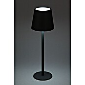 Starlux Paola Akumulatorska namizna svetilka Paola Mini  (3 kos, 1,6 W, Do x Š x V: 8,6 x 8,6 x 27 cm, Toplo bela, Črne barve) | 3111 - Akkuleuchte dekorativ | CAJB - Outdoorleuchten Akku | CAJ - Outdoorleuchten | CA - Beleuchtung | C - Elektro | BAUHAUS