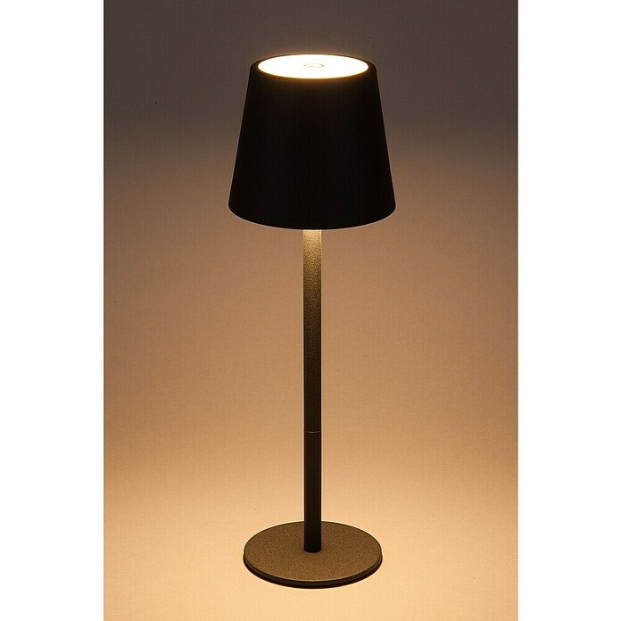 Starlux Akumulatorska namizna svetilka Paola Mini  (3 kos, 1,6 W, Do x Š x V: 8,6 x 8,6 x 27 cm, Črna, Topla bela) | 3111 - Akkuleuchte dekorativ | CAJB - Outdoorleuchten Akku | CAJ - Outdoorleuchten | CA - Beleuchtung | C - Elektro | BAUHAUS