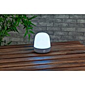 Starlux LED-Tischleuchte Serra (0,3 W, L x B x H: 10 x 10 x 12 cm, Light Grey, RGBW) | BAUHAUS