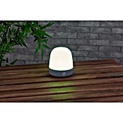 Starlux LED-Tischleuchte Serra (0,3 W, L x B x H: 10 x 10 x 12 cm, Light Grey, RGBW) | BAUHAUS