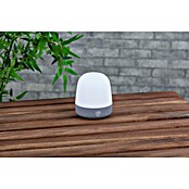 Starlux LED-Tischleuchte Serra (0,3 W, L x B x H: 10 x 10 x 12 cm, Light Grey, RGBW) | BAUHAUS