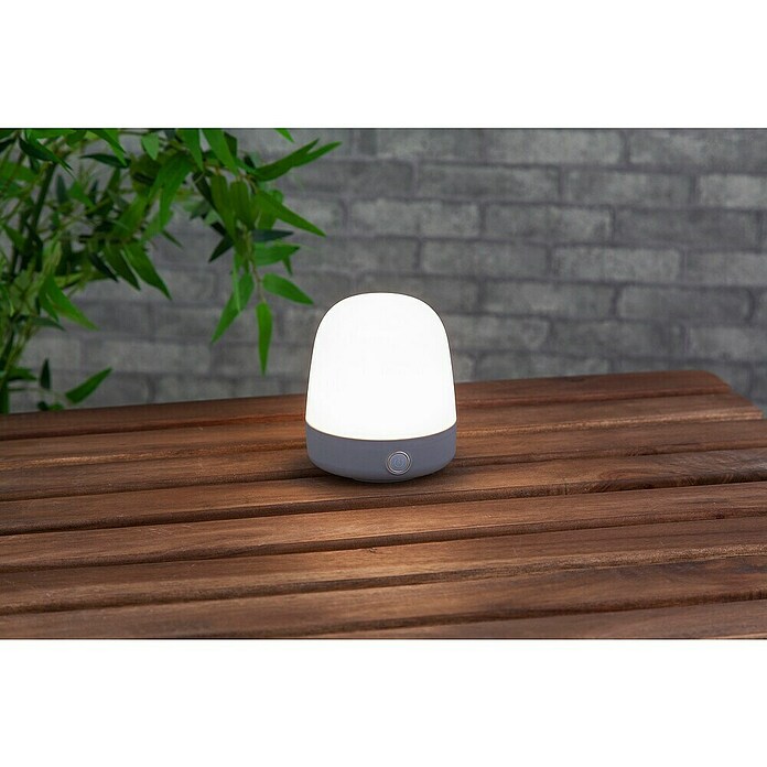 Starlux LED-Tischleuchte Serra (0,3 W, L x B x H: 10 x 10 x 12 cm, Light Grey, RGBW) | BAUHAUS