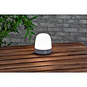 Starlux LED-Tischleuchte Serra (0,3 W, L x B x H: 10 x 10 x 12 cm, Light Grey, RGBW) | BAUHAUS